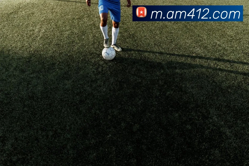 App Interface Preview